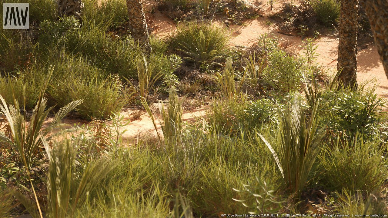 [01/03/2024] MW Dune Desert Landscape Runtime Demo (12)
