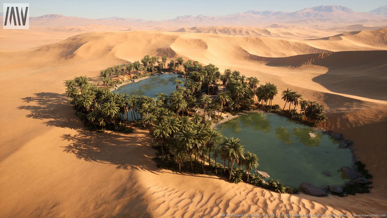 [01/03/2024] MW Dune Desert Landscape Runtime Demo (18)