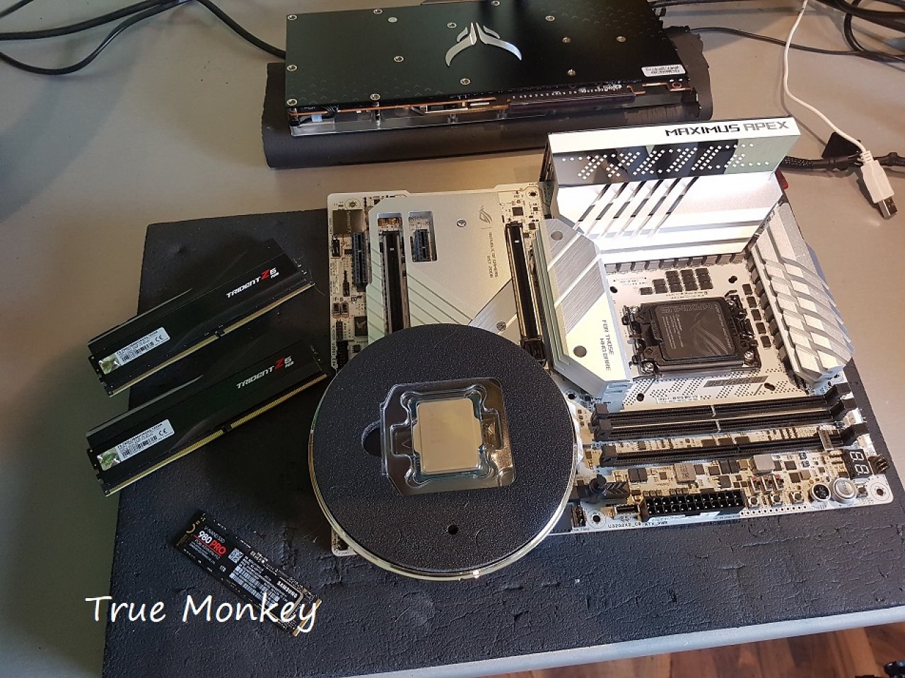 [14/03/2024] True Monkey: Für Vergleich hier noch ein Pic vom Vorgänger, bevor ich es aufgebaut hatte&nbsp;