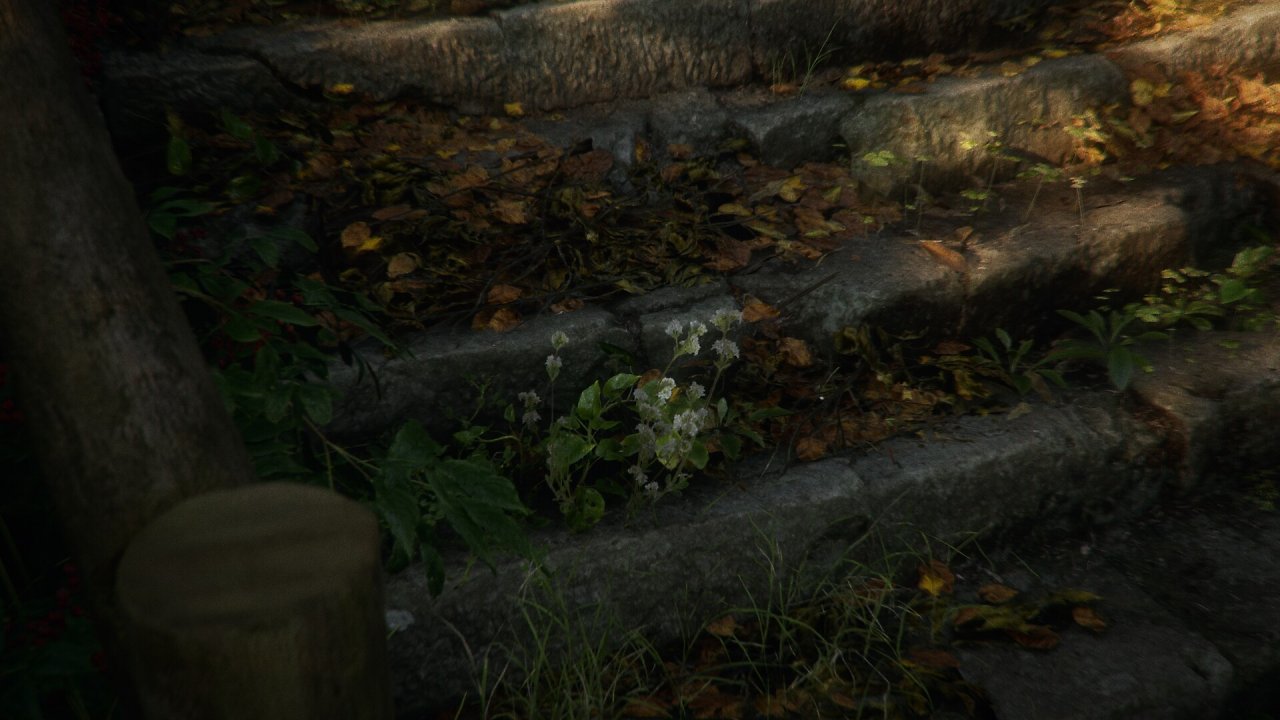 [14/03/2024] Unreal Engine 5.3: Forgotten Echoes beeindruckt nicht nur eine RTX 4090 (2)