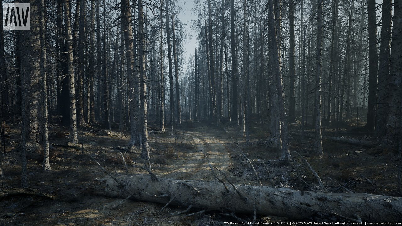 [08/03/2024] UE5.2 Burned Dead Forest Nanite (1)