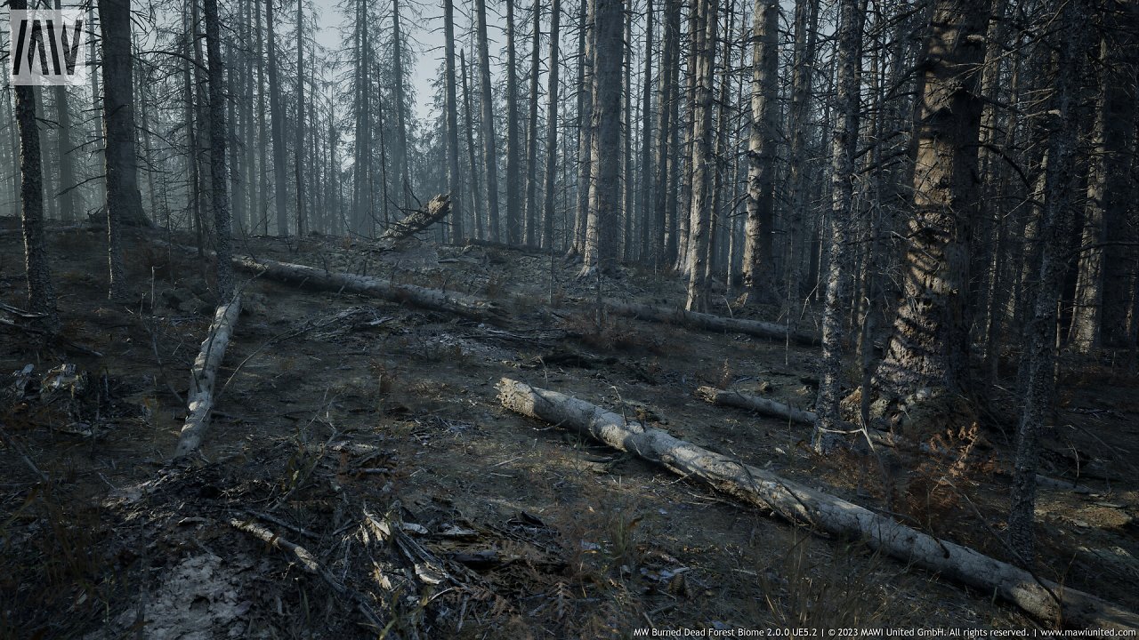 [08/03/2024] UE5.2 Burned Dead Forest Nanite (2)