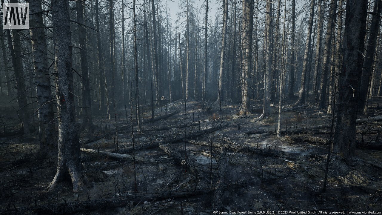 [08/03/2024] UE5.2 Burned Dead Forest Nanite (3)