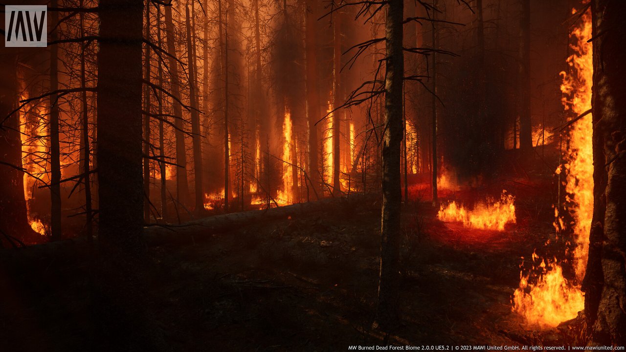 [08/03/2024] UE5.2 Burned Dead Forest Nanite (4)