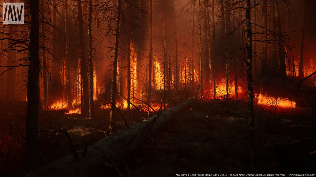 [08/03/2024] UE5.2 Burned Dead Forest Nanite (6)