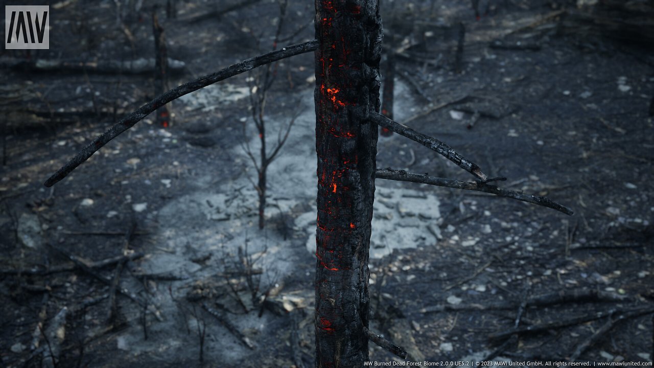 [08/03/2024] UE5.2 Burned Dead Forest Nanite (7)
