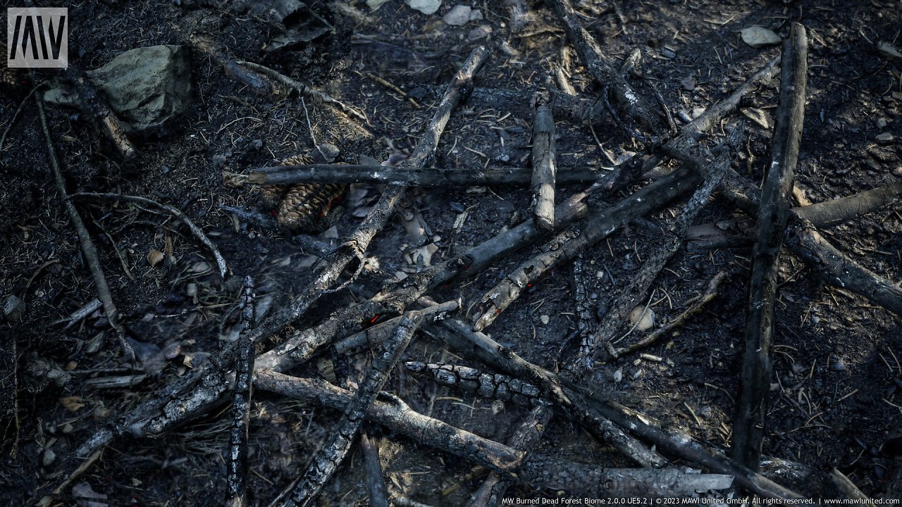 [08/03/2024] UE5.2 Burned Dead Forest Nanite (8)