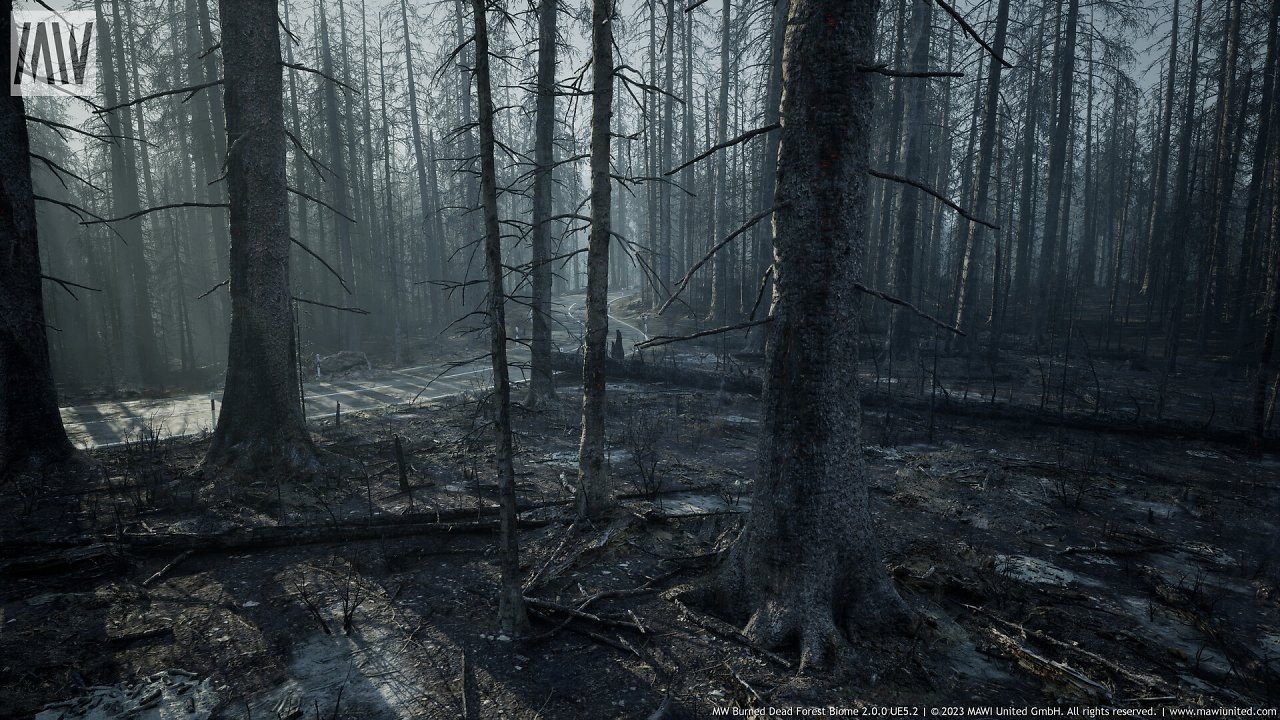 [08/03/2024] UE5.2 Burned Dead Forest Nanite (9)