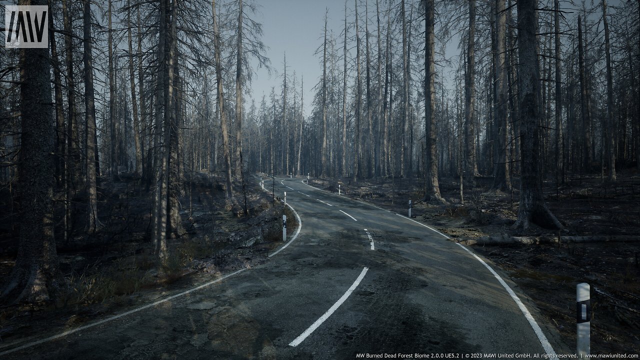 [08/03/2024] UE5.2 Burned Dead Forest Nanite (10)