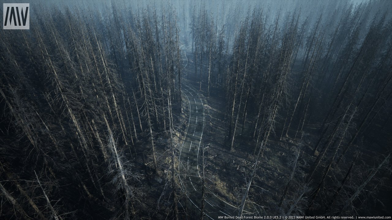 [08/03/2024] UE5.2 Burned Dead Forest Nanite (12)