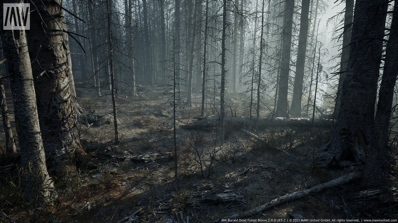 [08/03/2024] UE5.2 Burned Dead Forest Nanite (13)