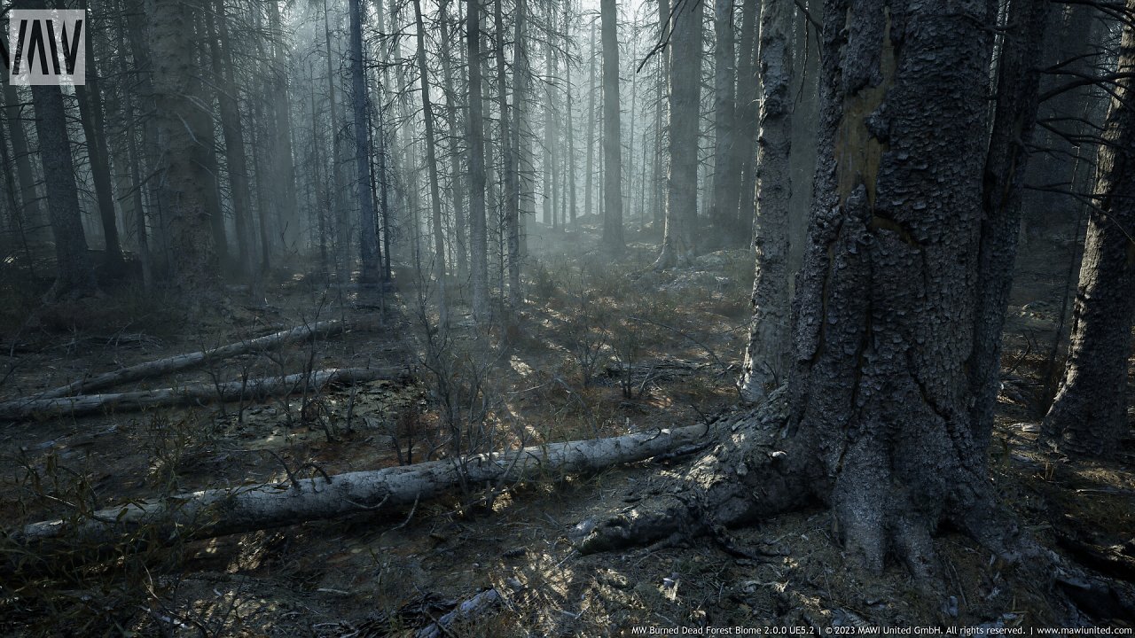 [08/03/2024] UE5.2 Burned Dead Forest Nanite (15)