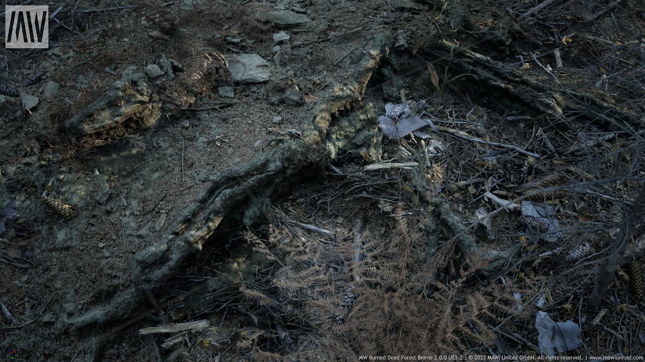 [08/03/2024] UE5.2 Burned Dead Forest Nanite (16)