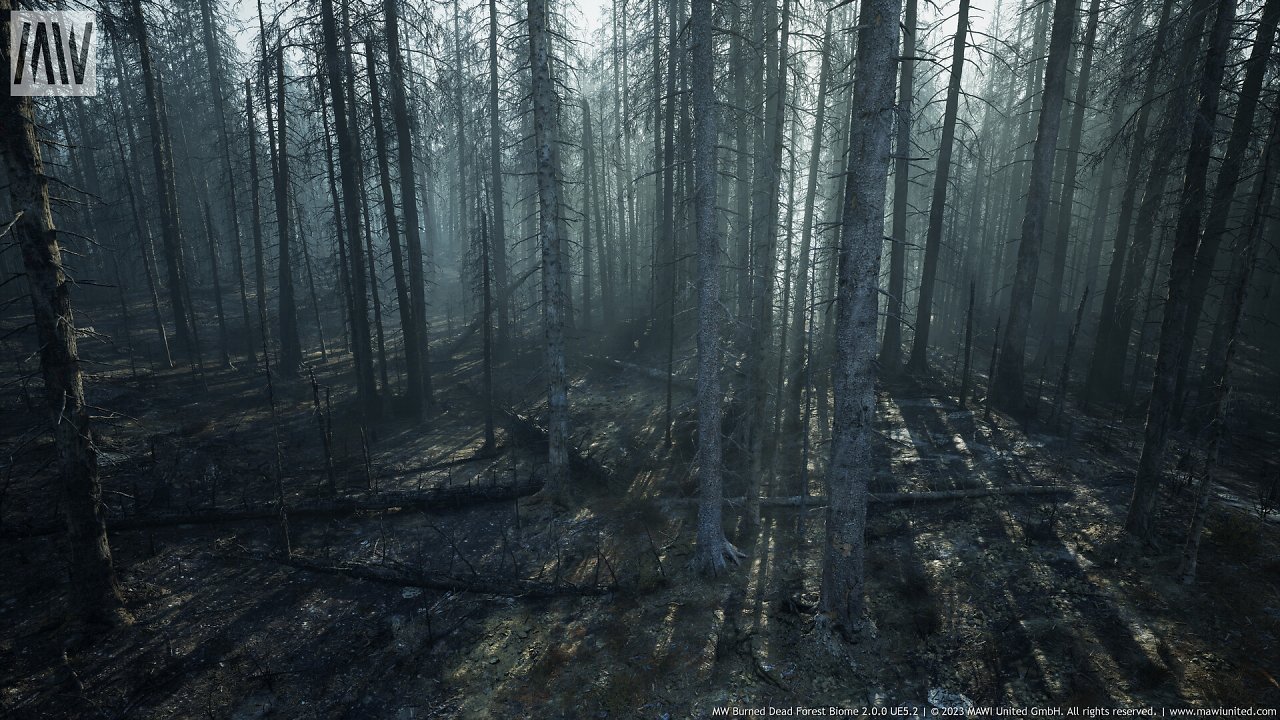[08/03/2024] UE5.2 Burned Dead Forest Nanite (17)