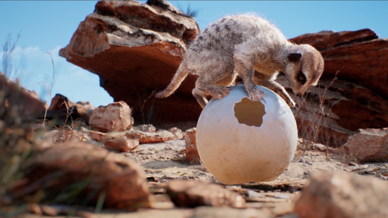 [14/06/2024] Unreal Engine 5.4: Meerkat Tech Demo lässt GPUs schwitzen (1)