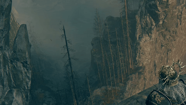 <strong>Elden Ring: Shadow of the Erdtree </strong>– volumetrische Qualität auf "Maximum" im Nebel