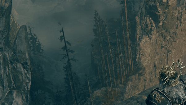 <strong>Elden Ring: Shadow of the Erdtree </strong>– volumetrische Qualität auf "Niedrig" im Nebel