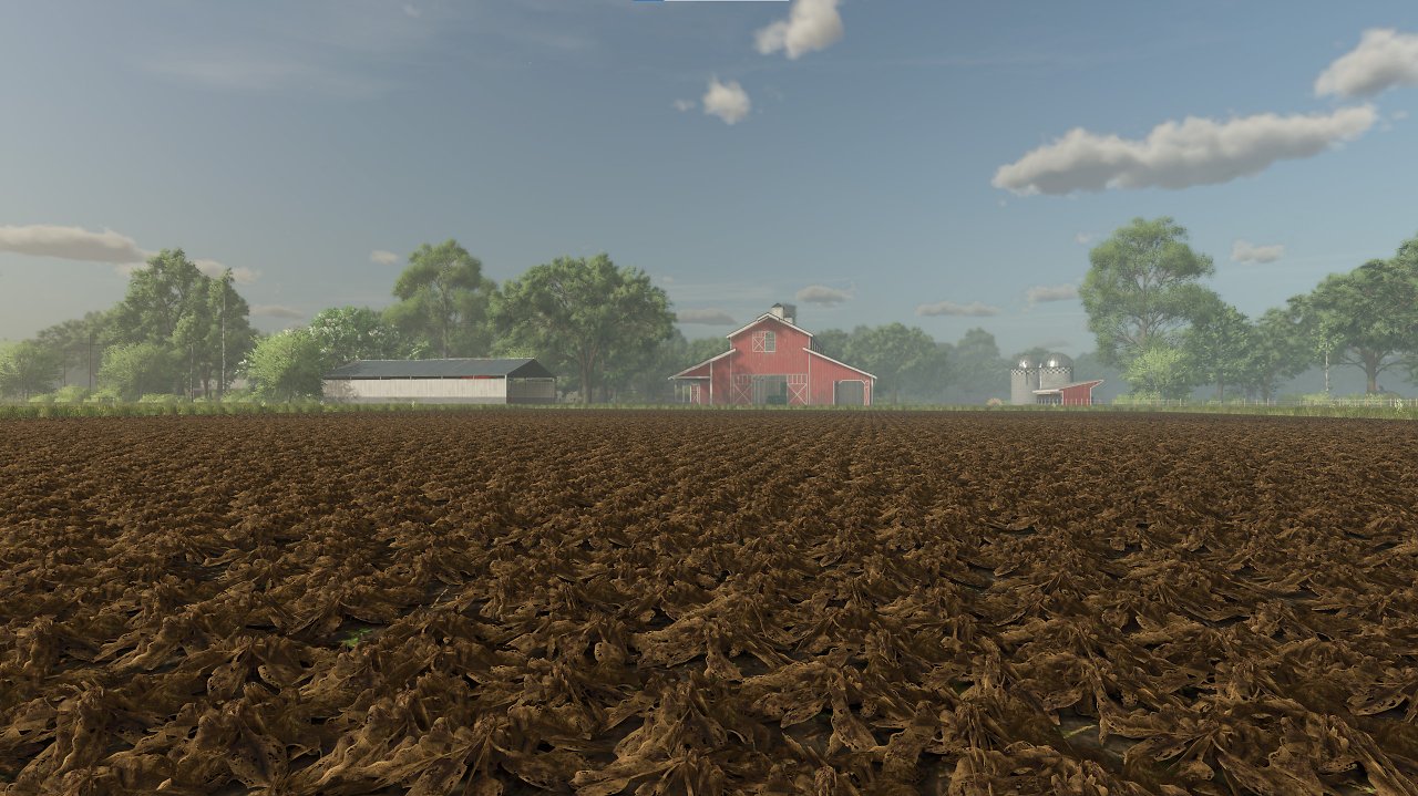 [09/08/2024] Spinat im Landwirtschafts-Simulator 25 (14)