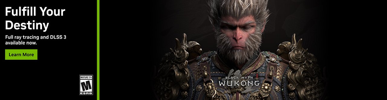 [20/08/2024] Wukong