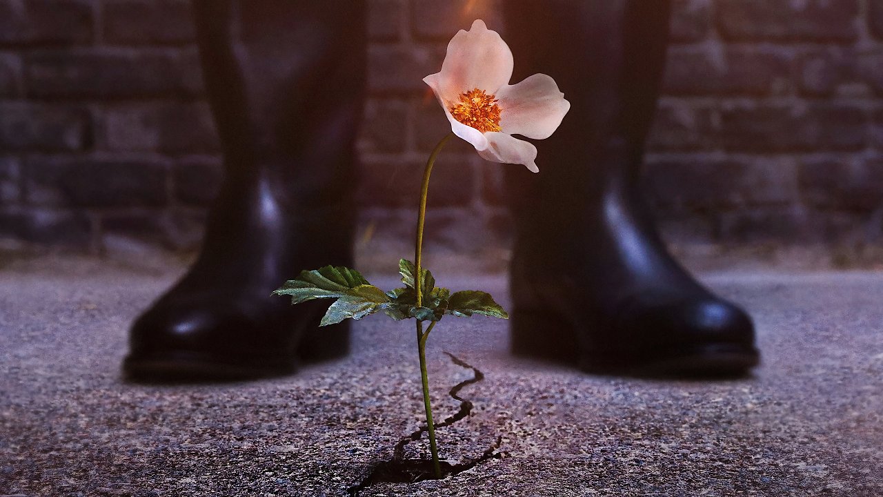 [10/09/2024] 18. The Man in the High Castle (2015 - 2019) - 2,0 unter Schnitt&nbsp;