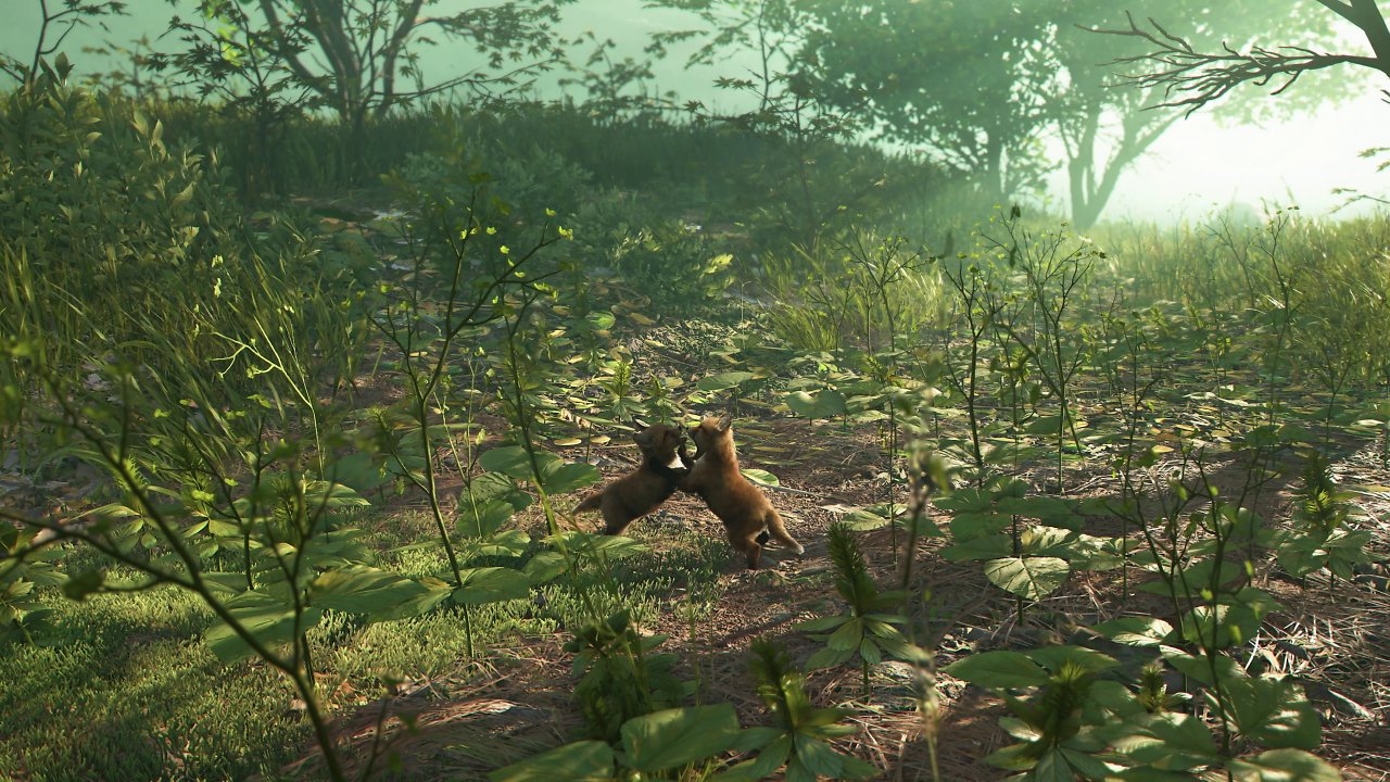 [12/09/2024] Assassin's Creed Shadows: Screengrab aus dem neuen World-Trailer (17)