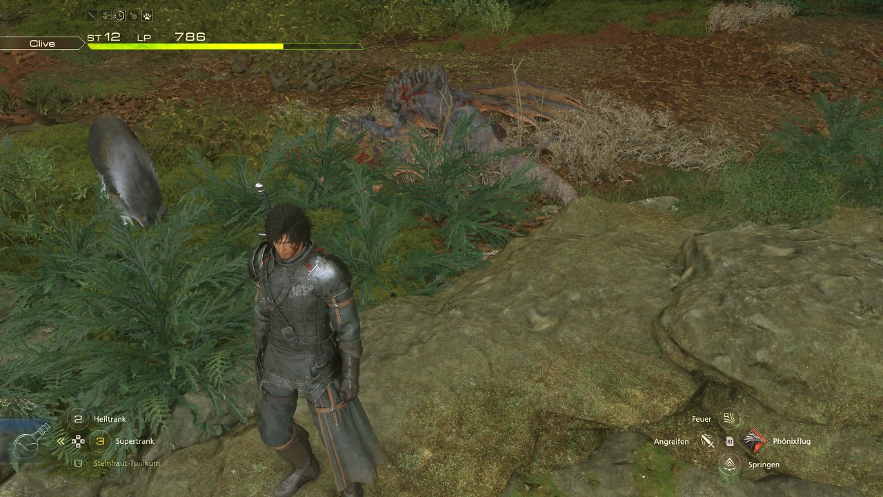 Final Fantasy XVI: Flache Beleuchtung Outdoor