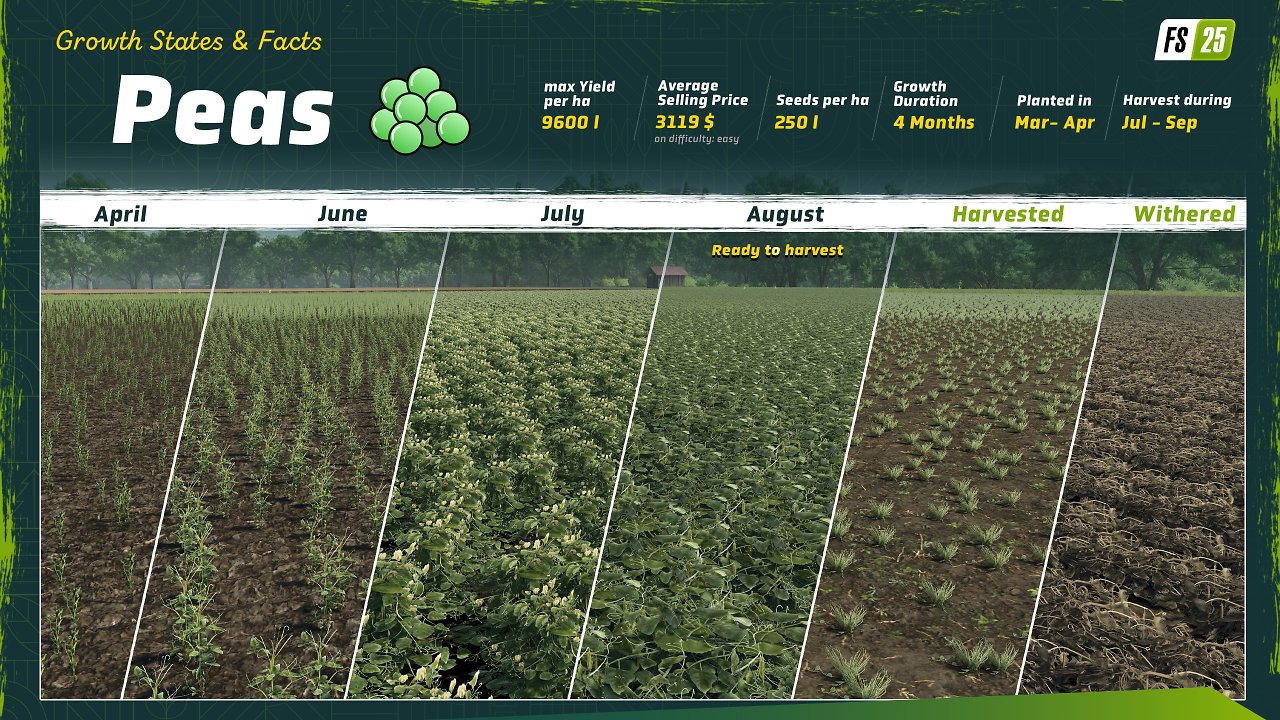 [12/09/2024] Erbsen und Bohnen sind zwei von mehreren neuen Fruchtsorten im Landwirtschafts-Simulator 25 und was es zu der zu wissen gibt, haben wir zusammengefasst. (2)