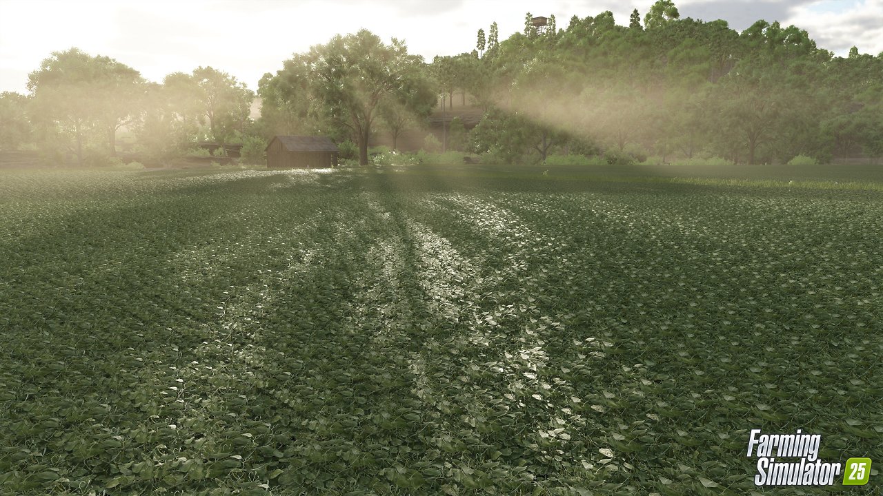 [12/09/2024] Erbsen und Bohnen sind zwei von mehreren neuen Fruchtsorten im Landwirtschafts-Simulator 25 und was es zu der zu wissen gibt, haben wir zusammengefasst.