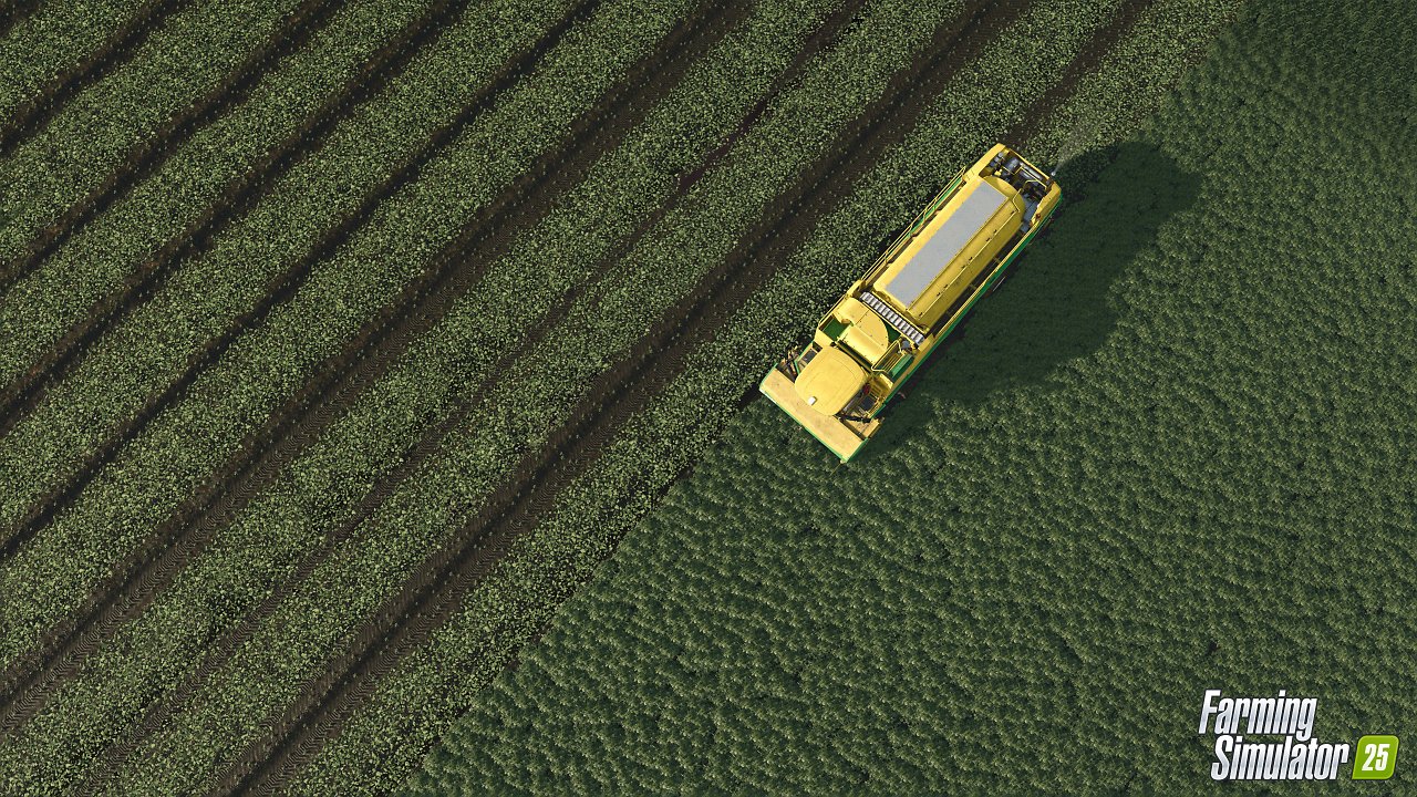 [12/09/2024] Achtet darauf, dass ihr eine spezielle Erntemaschine für unsere kleinen grünen Freunde benötigt - den OXBO EPD540E. Dabei handelt es sich um eine selbstfahrende Erntemaschine. (1)&nbsp;