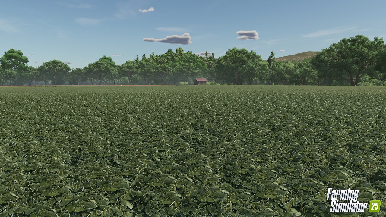 Werfen wir einen Blick auf die unterschiedlichen Wachstumszustände von Erbsten. Spoiler: Wenn es auf eurem Feld so aussieht wie auf dem letzten Bild, wart ihr zu spät dran und die Ernte ist hinüber. (4)