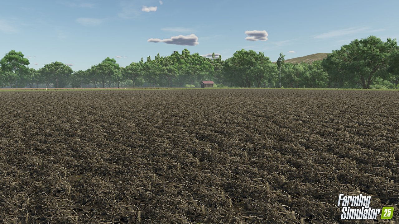 Werfen wir einen Blick auf die unterschiedlichen Wachstumszustände von Erbsten. Spoiler: Wenn es auf eurem Feld so aussieht wie auf dem letzten Bild, wart ihr zu spät dran und die Ernte ist hinüber. (6)