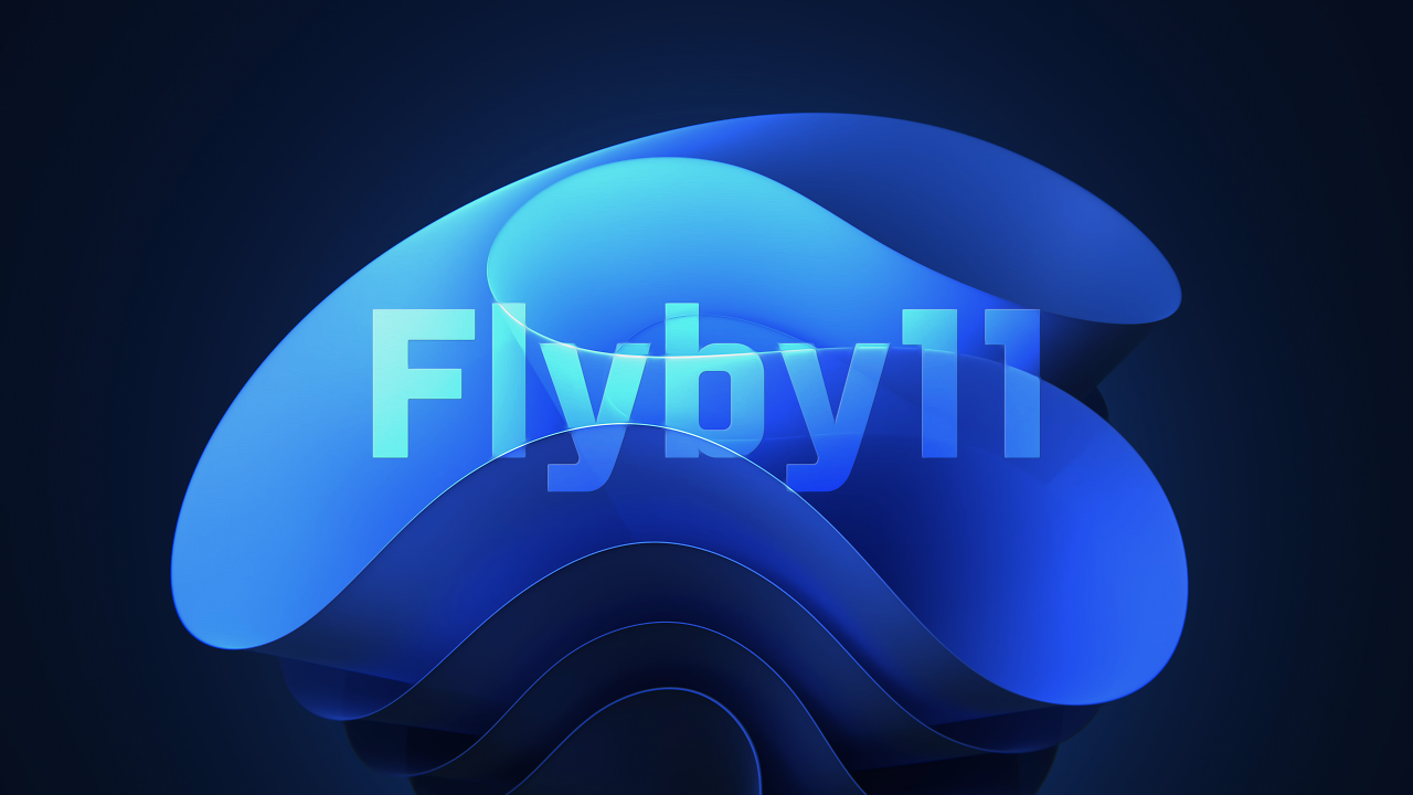 [29/10/2024] Flyby11