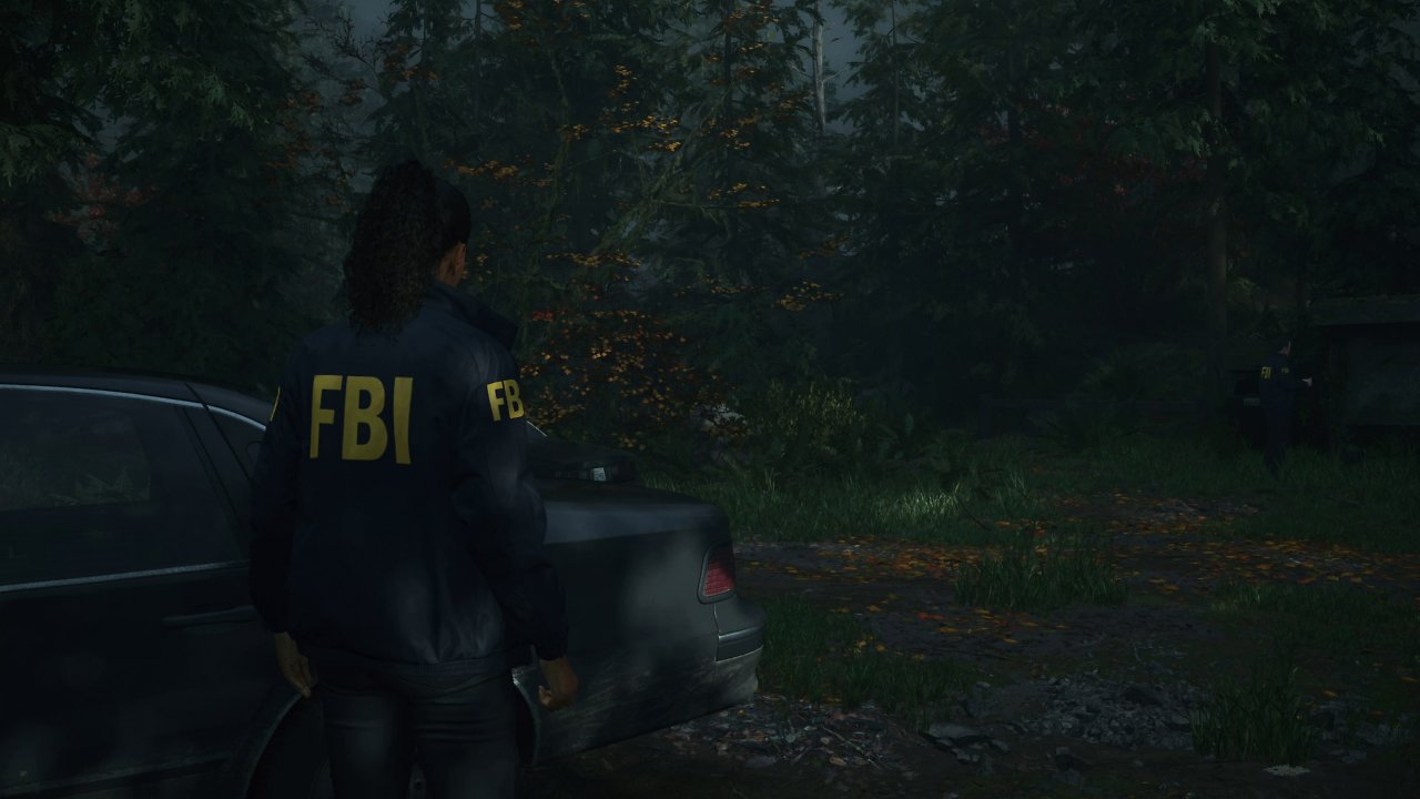 [06/11/2024] Alan Wake 2: PS5 Pro (Leistung)