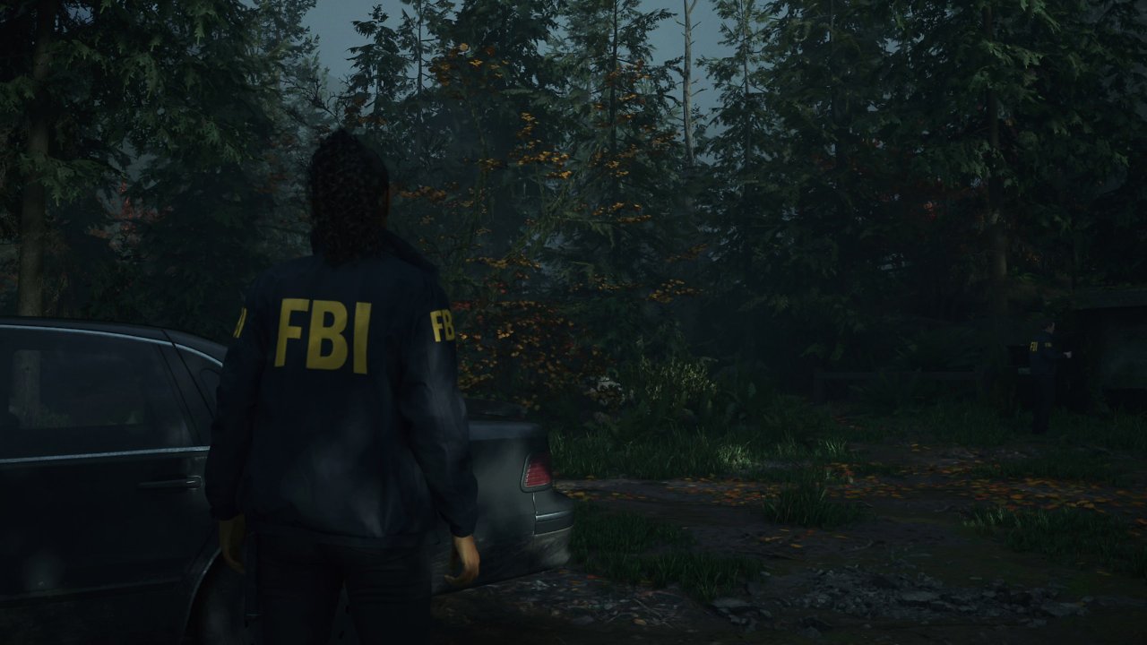 [06/11/2024] Alan Wake 2: Standard-PS5 (Leistung)