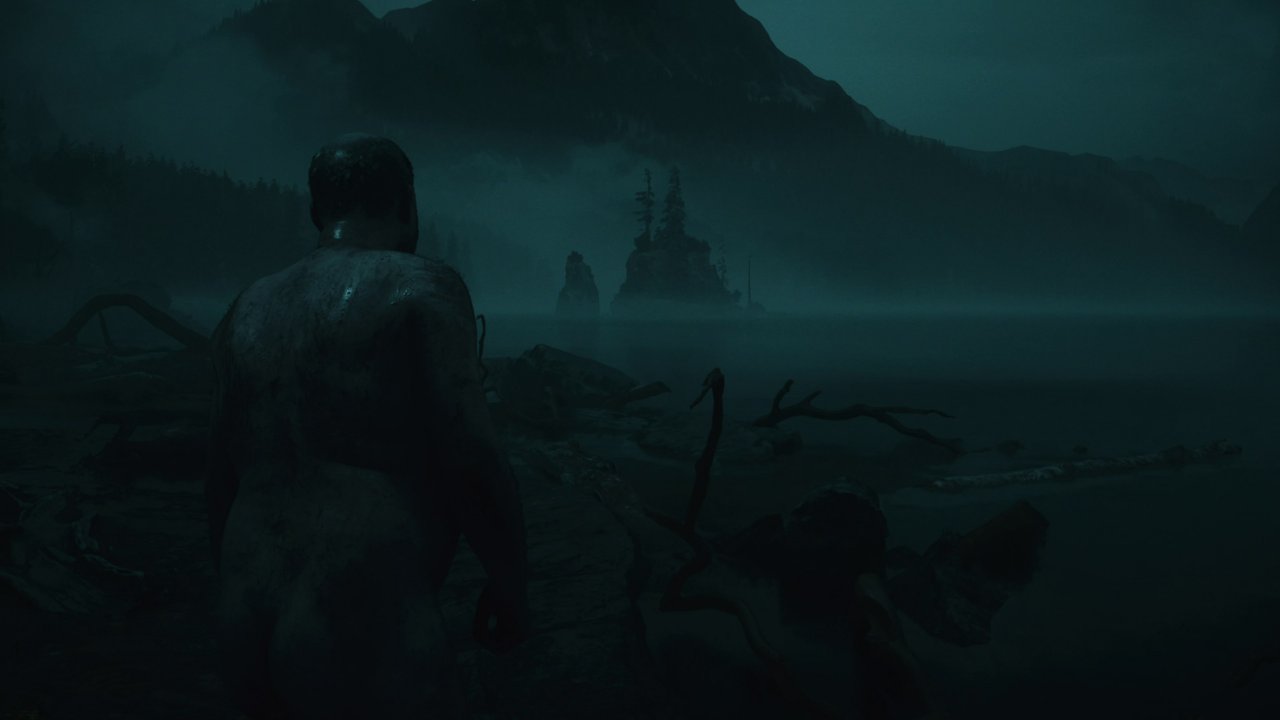 Alan Wake 2: Standard-PS5 (Leistung)