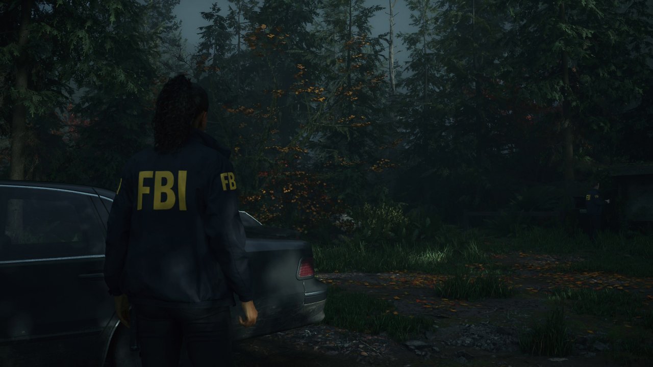 [06/11/2024] Alan Wake 2: Standard-PS5 (Qualität)