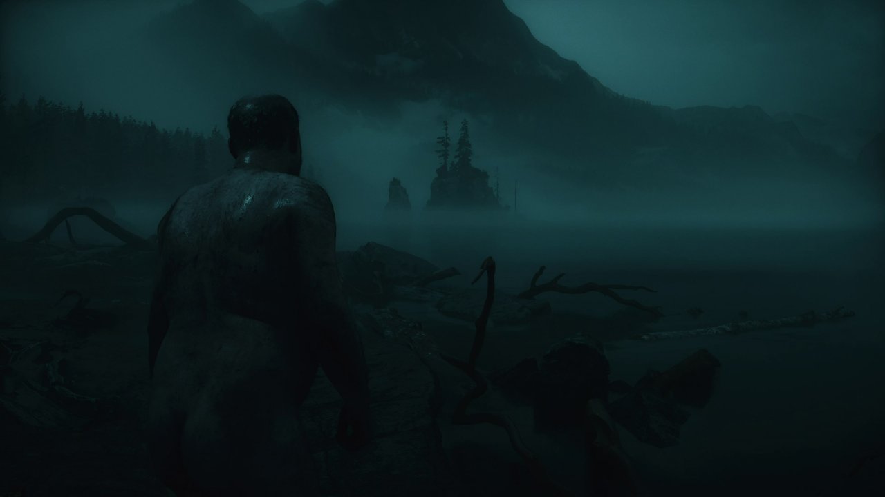 Alan Wake 2: Standard-PS5 (Qualität)