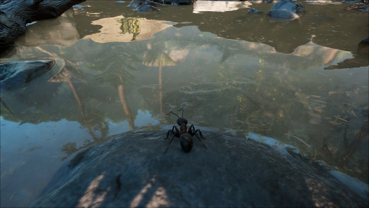 Ray Tracing only