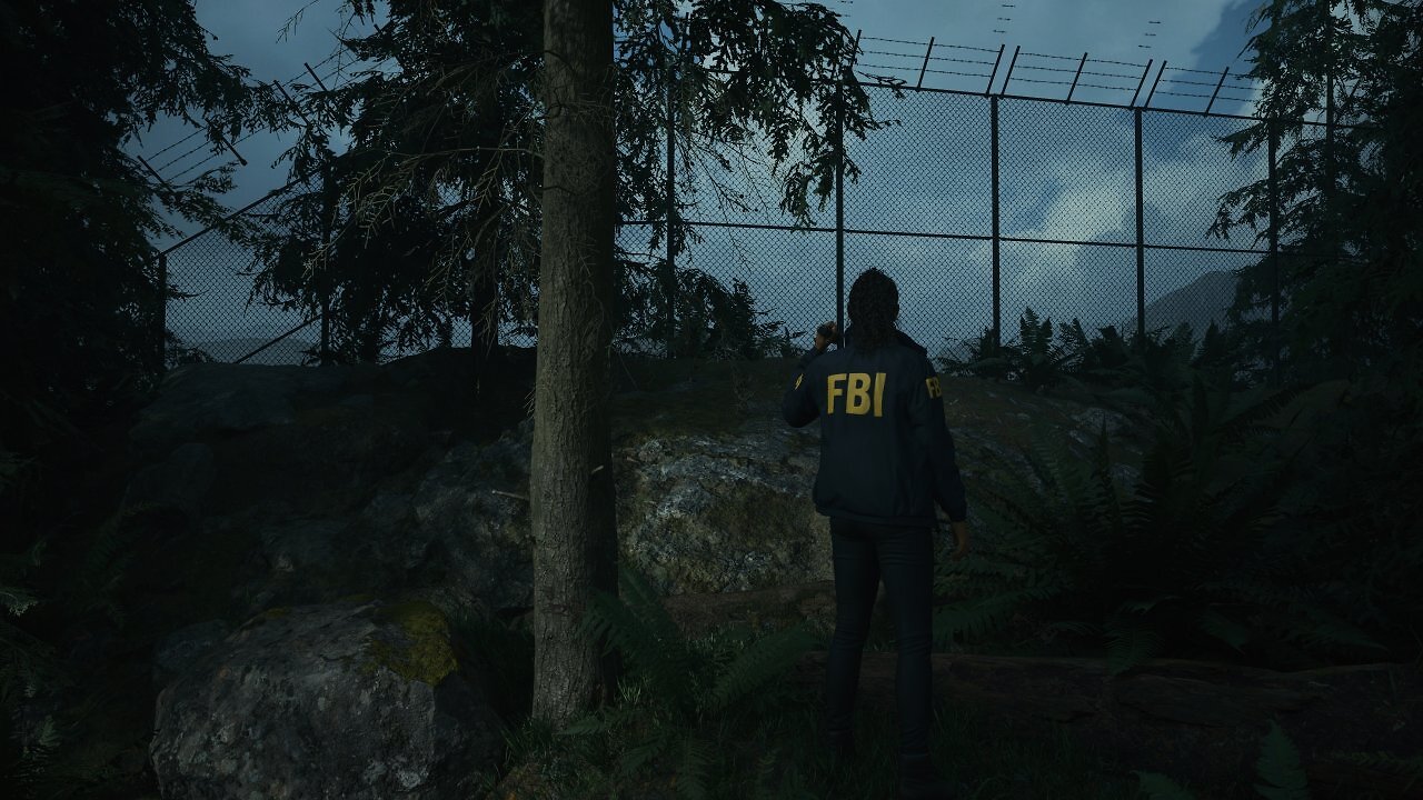 [23/01/2025] Auch unsere spezielle Nvidia-Test-Version von Alan Wake 2 bietet DLSS 4 und MFG. Allerdings ohne Legacy-Mode, also das 