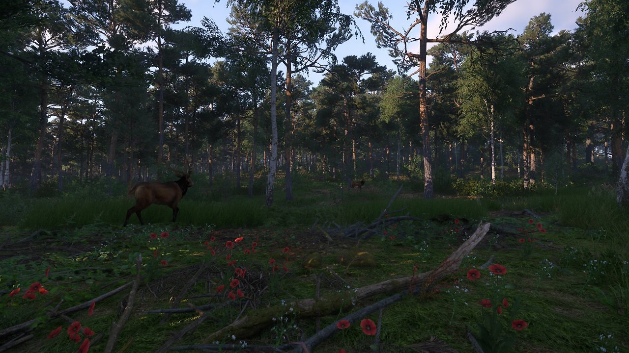 [29/01/2025] Kingdom Come Deliverance 2