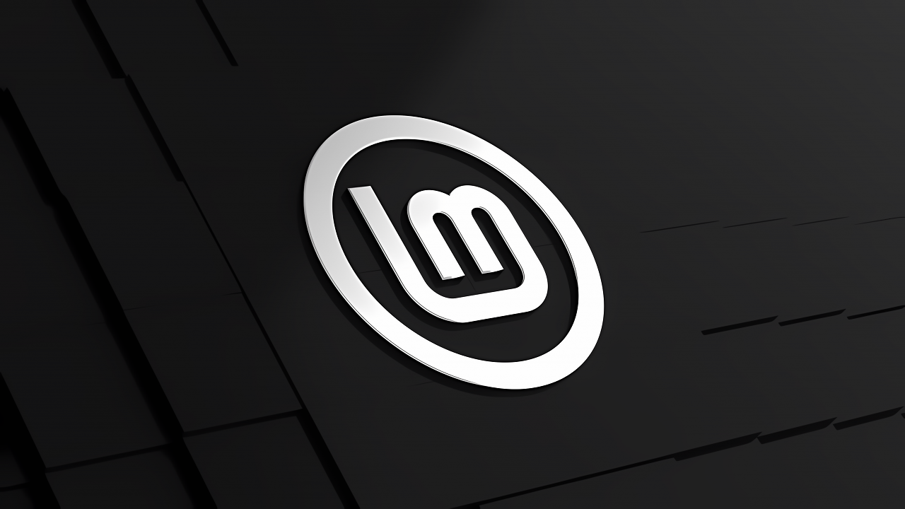 [19/01/2025] Logo