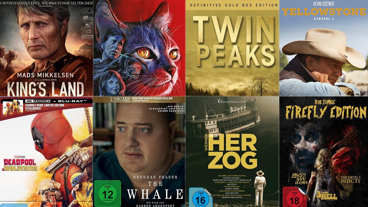 [23/01/2025] Netflix & Disney zu langweilig? Amazon verramscht DVDs und Blu-rays mit 69 % Rabatt