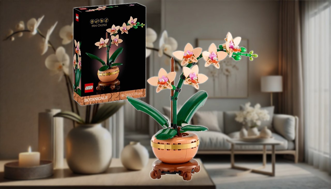 [21/02/2025] Das beliebteste Lego-Set: Mini-Orchidee für 23,99 Euro bei Amazon - über 10.000 Mal bestellt