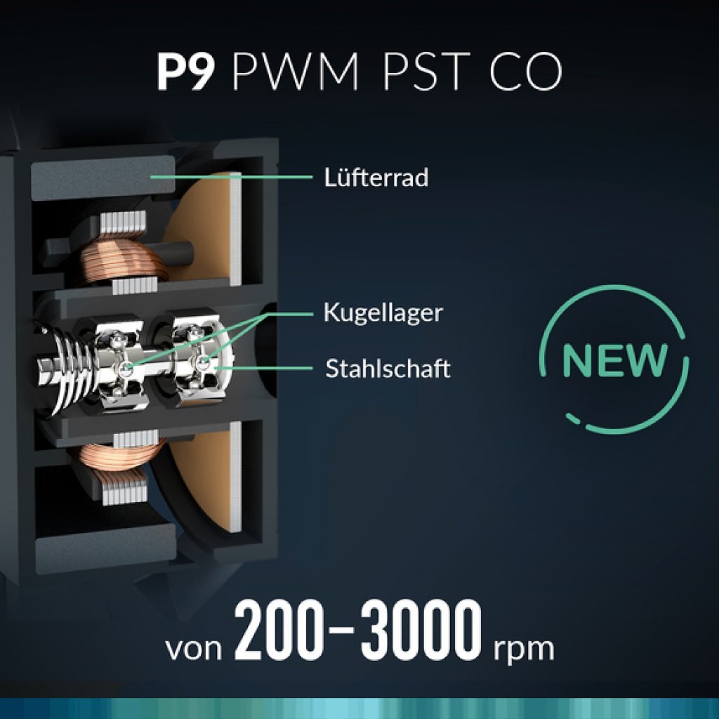 [14/02/2025] P9 PWM PST CO