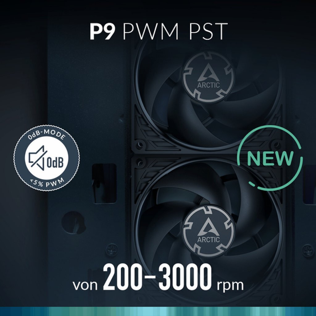 [14/02/2025] P9 PWM PST