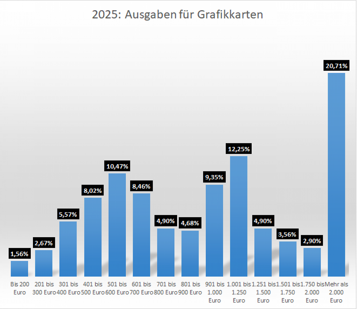 2025: Ausgaben für Grafikkarten