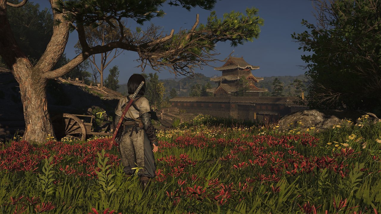 [17/03/2025] Assassin's Creed Shadows - Detailvergleich - 00 - Niedrig