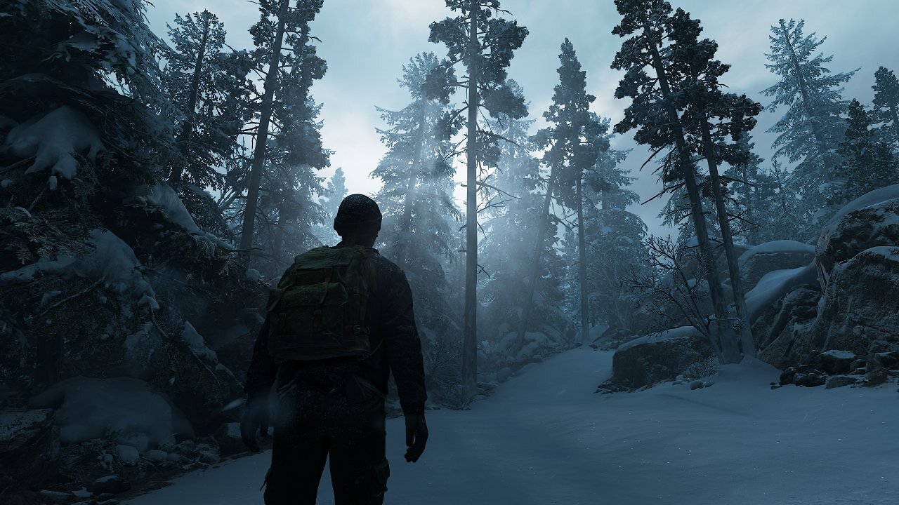 [27/03/2025] The Last of Us Part II PC (Bilder: 6K-DLDSR maxed & downsampled) (3)