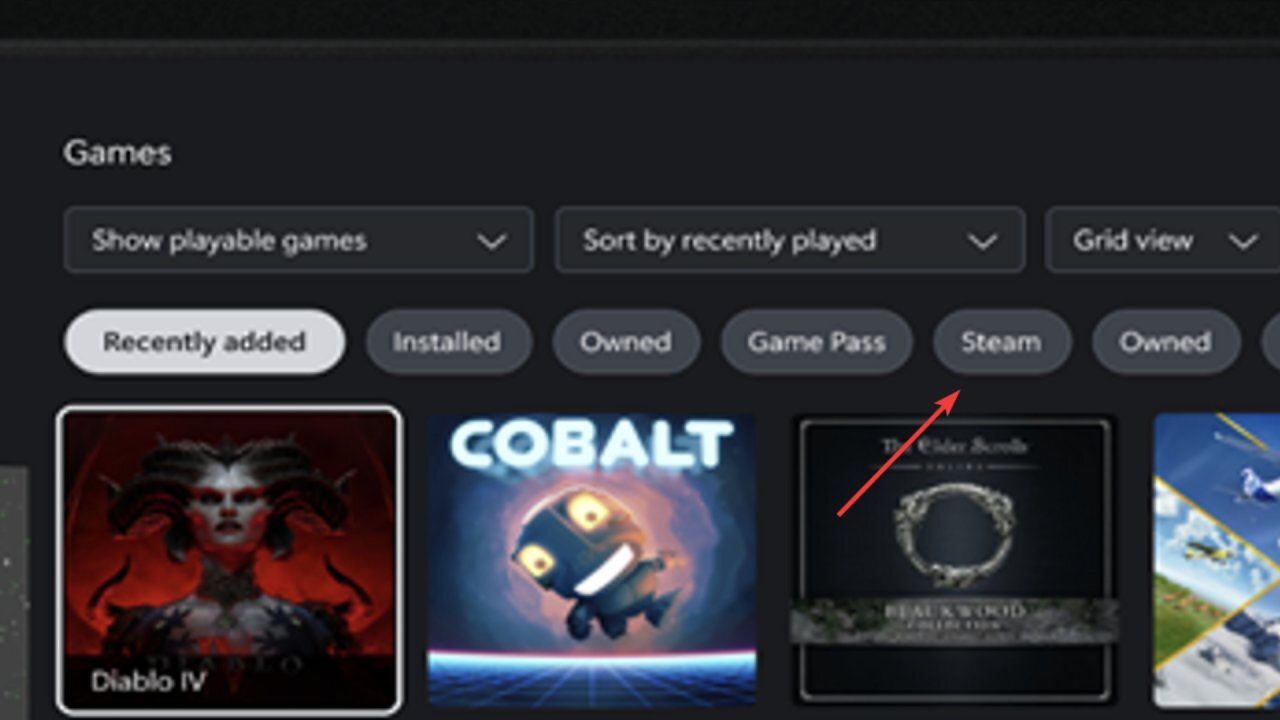 [21/03/2025] ... der hier eindeutig eine Steam-Kategorie für das neue Xbox-Interface nennt.