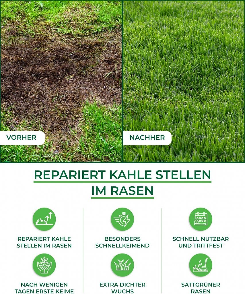 Der Premium-Rasensamen lieferte im Test sehr gute Ergebnisse.